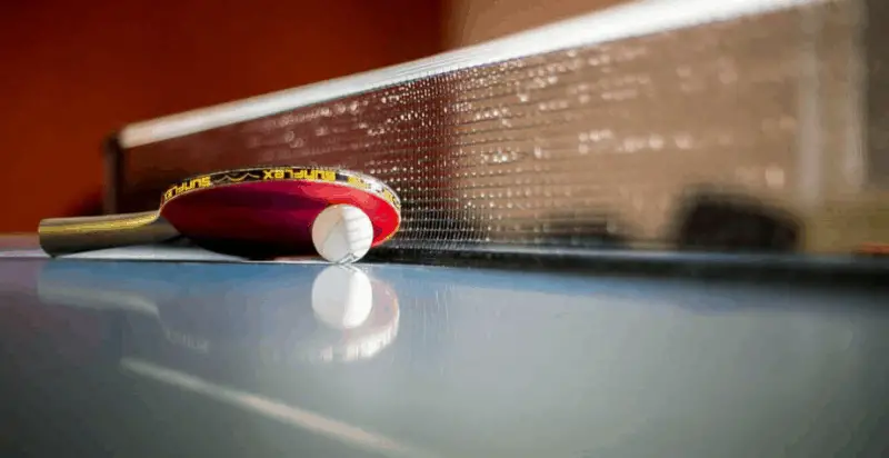 Best Ping Pong Table Reviews